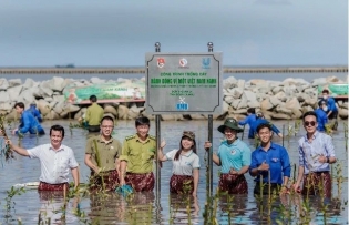 Sowing millions of seeds to green Vietnam’s shared home