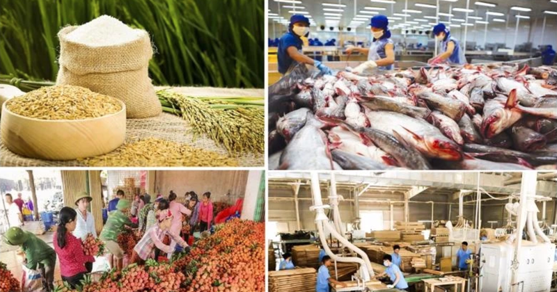 Image for illustration