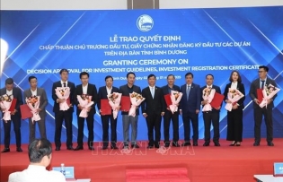 Binh Duong attracts over 1.7 billion USD in domestic investment