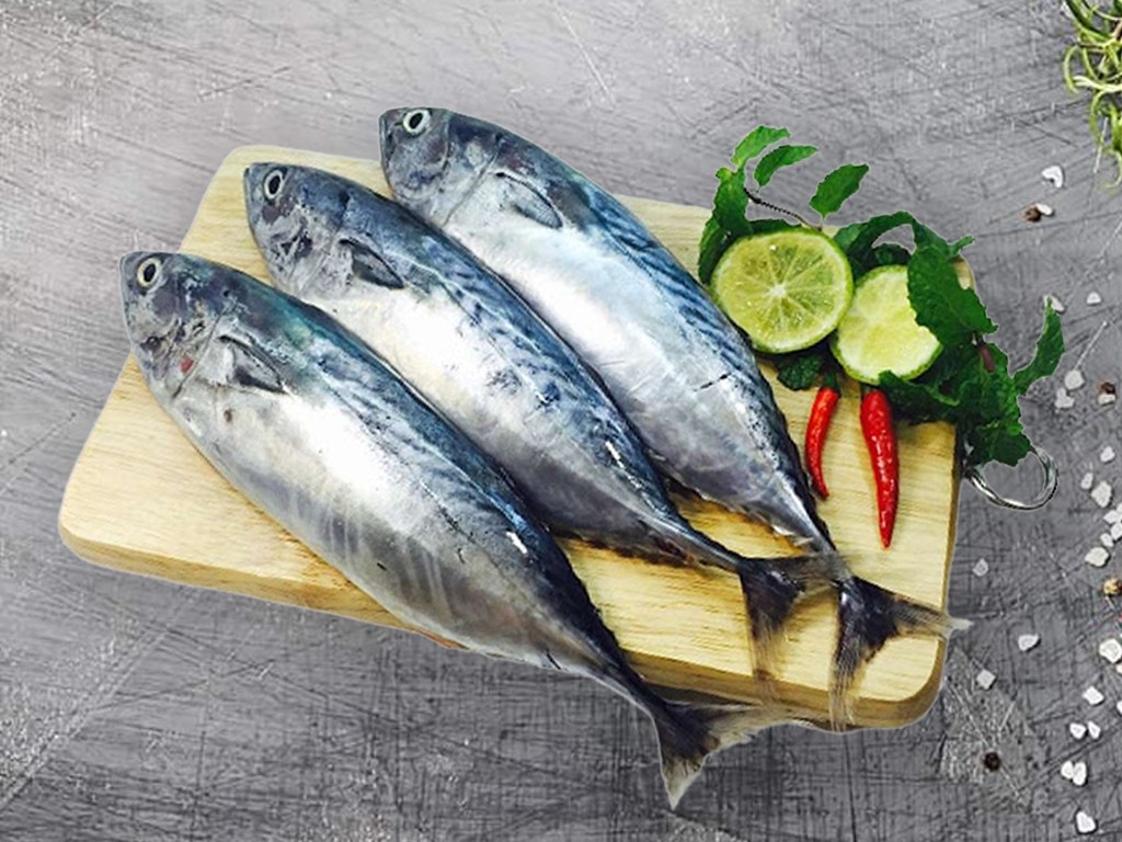 Vietnam’s tuna exports to Italy stagnated in late 2024