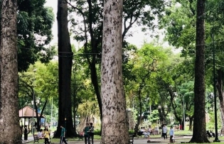 HCM City strives to have one square metre of green space per capita by 2030
