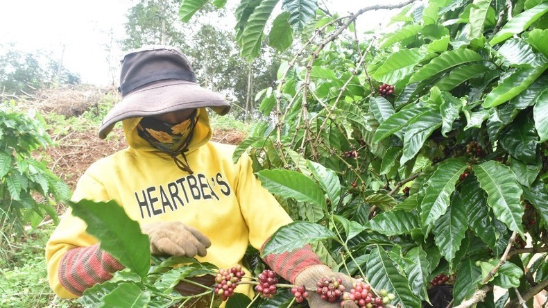 Vietnamese goods need to make efforts to meet the requirements of the market.