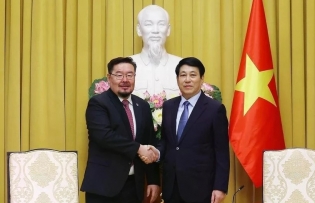 Vietnamese Party, State treasure ties with Mongolia: State President