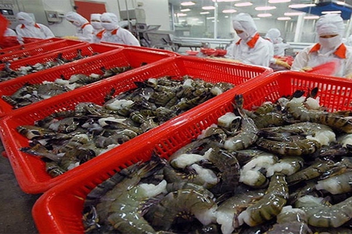 Warm-water shrimp is one of Vietnam’s major exports to the RoK