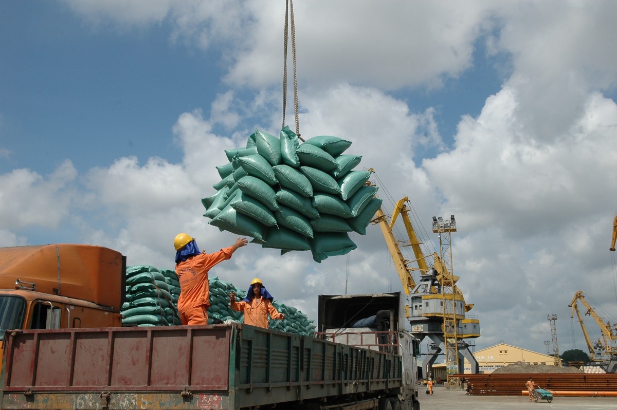 Rice exports reach a record high in 2024  Photo: Can Dung