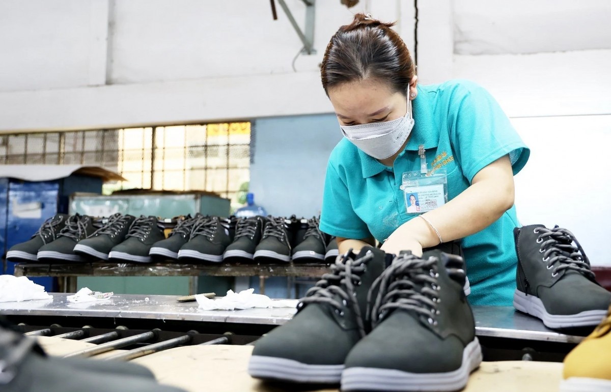 Green, sustainable development standards:  Challenges for leather, footwear industry