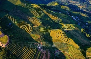 Yen Bai transforms natural heritage into valuable assets