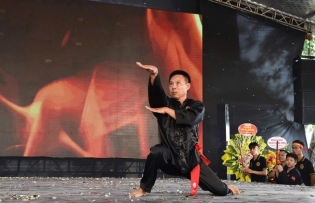 Special techniques of Snake martial arts