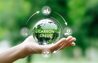 Vietnam - attractive destination for carbon credit market