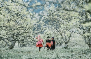 Top places to visit in Northern Vietnam for amazing Tet travel experiences