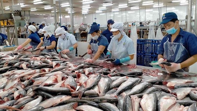 Vietnam earned US$10.04 billion from seafood exports in 2024