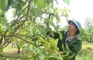 Dak Lak boosts economic resilience for lasting poverty reduction