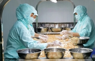 Vietnamese goods gain competitive edge in Dutch market