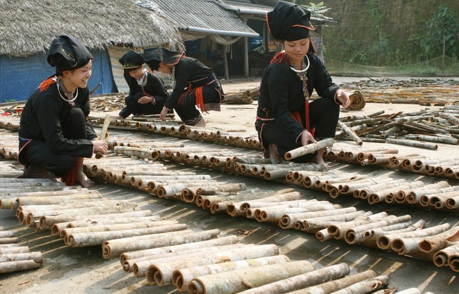 Cinnamon from Yen Bai province is processed into 50 product types, with 28 products certified as OCOP 3-star or higher. (Photo: VNA)