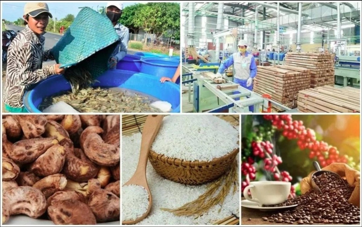 Vietnamese agricultural products to the Netherlands have enjoyed preferential tax rates right after the EVFTA comes into effect. 