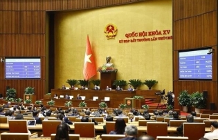 Resolution on special mechanisms for Ninh Thuan nuclear power project investment
