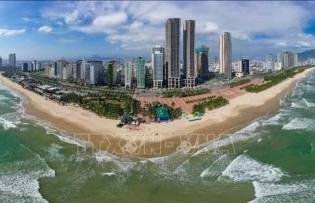 Da Nang floats idea of attracting cruise tourists