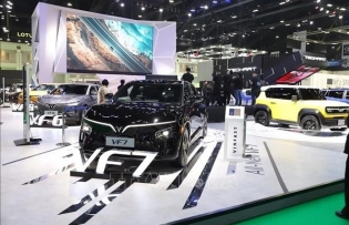 Vietnamese products rise from villages to global markets