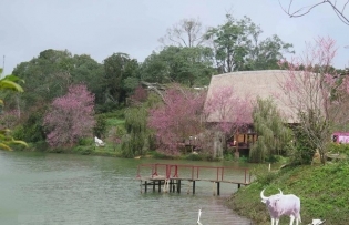 Unique experiences turn forgotten destinations into magnets for tourists