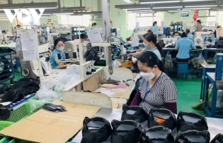 Vietnam to formulate breakthrough policies for private economic sector development