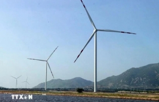 New decree incentivises renewable, new energy development