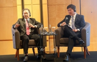 Da Nang investment forum unlocks new frontiers for Singaporean investors