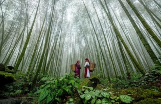 VNAT releases video featuring Vietnam tourism on YouTube