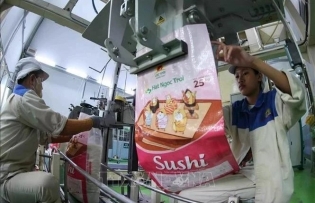 Vietnamese rice exporters urged to boost global competitiveness