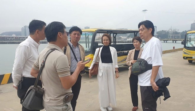 Representatives from Peace Boat arrive in Ha Long on March 12 to oversee preparations for the arrival of the delegation. (Photo: VNA) Representatives from Peace Boat arrive in Ha Long on March 12 to oversee preparations for the arrival of the delegation. (Photo: VNA)