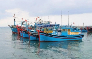 Ben Tre intensifies efforts to remove EC’s “yellow card”