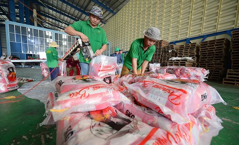 Packing rice for export at Chon Chinh Co., Ltd. (Dong Thap). (Photo: TRAN QUOC)