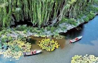 Sustainable forest ecotourism helps promote economic growth, environmental preservation