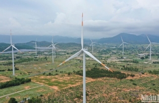 Vietnam needs decisive action to achieve net zero goal
