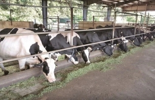 It is time to reduce emission in livestock farming