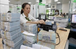 Decree on foreign investment in Vietnamese financial institutions amended