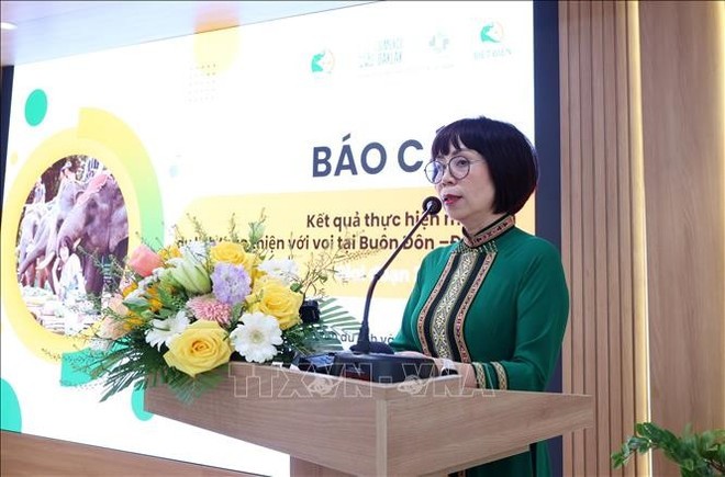 Tran Thi Kim Anh, Director of the Biet Dien Tourism and Hotel Branch – the entity managing the Buon Don Suspension Bridge Tourism Centre. (Photo: VNA) Tran Thi Kim Anh, Director of the Biet Dien Tourism and Hotel Branch – the entity managing the Buon Don Suspension Bridge Tourism Centre. (Photo: VNA)