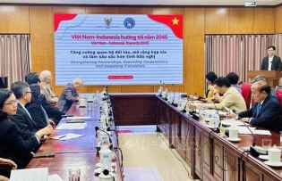 Vietnam, Indonesia strengthen partnership, friendship