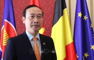 Belgian King’s visit to Vietnam to open up new cooperation opportunities: Ambassador