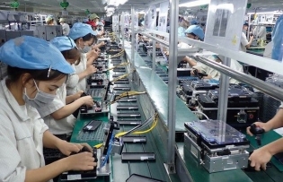 Empowering businesses for successful green transition