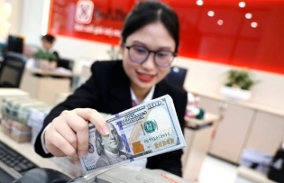 State Bank flexible and harmonious in managing exchange rates