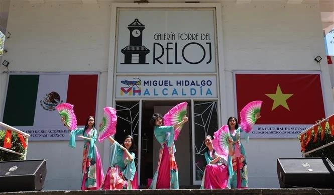 A performance by the wives and children of officials from Vietnamese representative agencies in Mexico. (Photo: VNA)