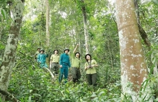 Vietnam’s forestry sector poised for breakthrough growth