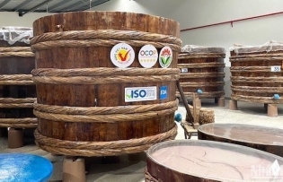 Vietnamese OCOP products make their mark in international market