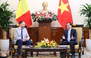 Vietnam values multifaceted cooperation with Belgium: Deputy PM