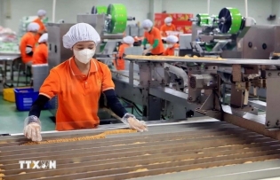 Party official anticipates breakthroughs in private economic sector