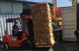 Vietnam cuts import taxes on key goods ahead of US tariff announcement