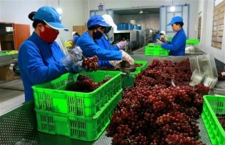 Vietnamese firms embrace green, digital export strategy to meet global standards