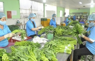 Fruit and vegetable businesses must be resilience against tariff turmoil: Expert