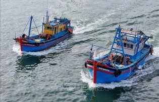 Vietnam tightens port and offshore activity control to tackle IUU fishing