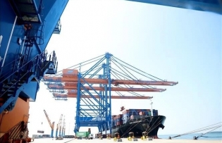 Flexible solutions needed to adapt to US new tariff policy: Official